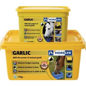 Horslyx, Mint, Garlic, Original, Mobility, Respiratory