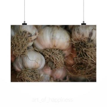 Stunning Poster Wall Art Decor Garlic Condiment Kitchen Flavor 36x24 Inches