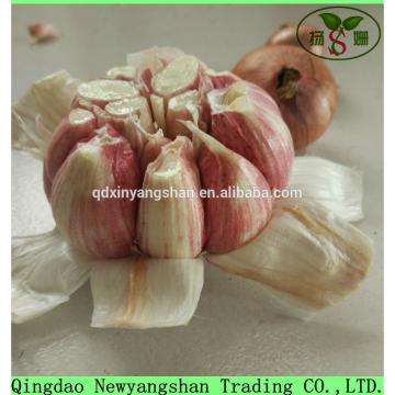 Hot 2017 year china new crop garlic Sale  Chinese  Garlic  With  A Purple White Skin Outside And Each Clove Purple White Skin Inside