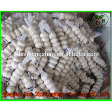 Professional 2017 year china new crop garlic Chinese  Garlic  Supplier  Health  Benifits Fresh White Garlic