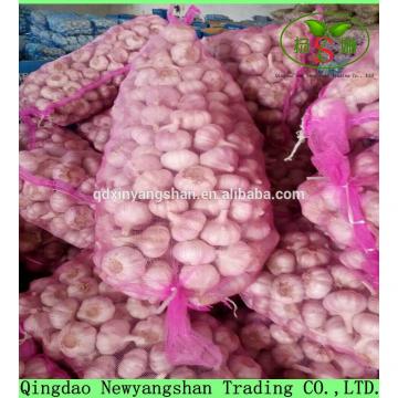 Fresh 2017 year china new crop garlic Garlic  Packing  In  Mesh  Bag For Sale In A Wholesale Price