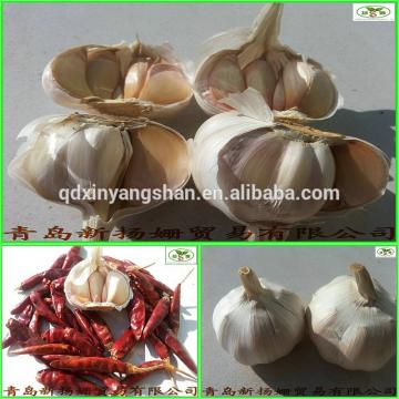 2014 2017 year china new crop garlic factory  hot  sale  fresh  garlic