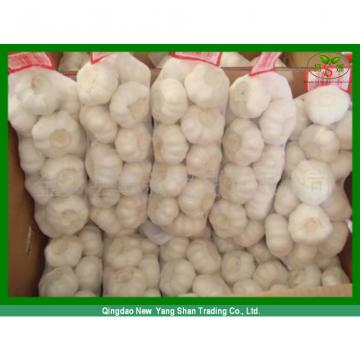 Chinese 2017 year china new crop garlic White  Garlic  Price  Professional  Exporter In China