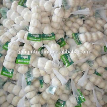 Pure 2017 year china new crop garlic white  garlic   