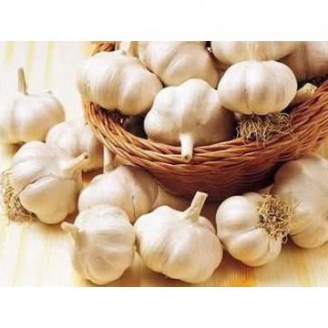 Common 2017 year china new crop garlic Cultivation  Liliaceous  Vegetables  2017  fresh garlic