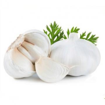 Laiwu 2017 year china new crop garlic natural  white  fresh  garlic  with mesh bag carton