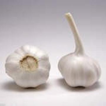 Chinese 2017 year china new crop garlic normal  white  fresh  garlic 