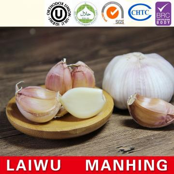 China 2017 year china new crop garlic Normal  white  fresh  garlic  for hot selling