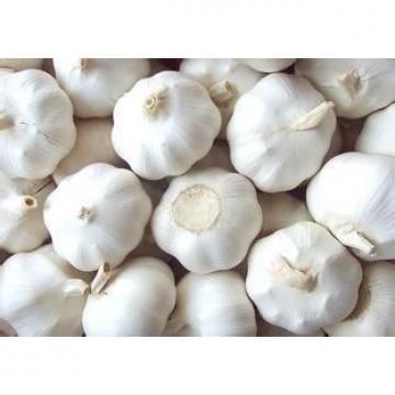Common 2017 year china new crop garlic Cultivation  Liliaceous  Vegetables  2017  fresh garlic