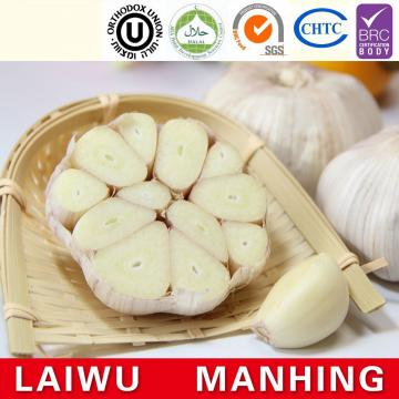 Chinese 2017 year china new crop garlic normal  white  fresh  garlic  mesh bag carton