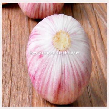 Wholesale 2017 year china new crop garlic fresh  white  garlic  for  export