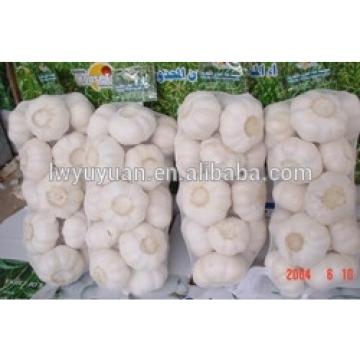 YUYUAN 2017 year china new crop garlic brand  hot  sail  fresh  garlic garlic packaging