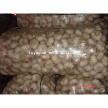 YUYUAN 2017 year china new crop garlic brand  hot  sail  fresh  garlic garlic fermenter