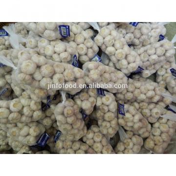 pure 2017 year china new crop garlic white  garlic   