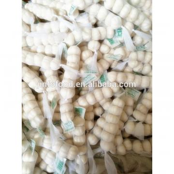 white 2017 year china new crop garlic Garlic    