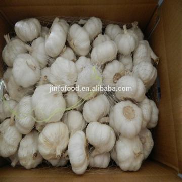 2017 2017 year china new crop garlic white  garlic   
