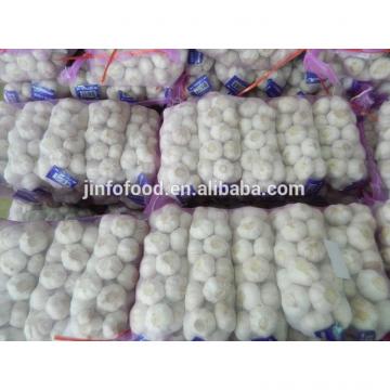 New 2017 year china new crop garlic garlic    