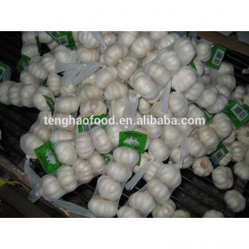 2014 2017 year china new crop garlic new  crop  ,250g/bag  ,fresh  white garlic