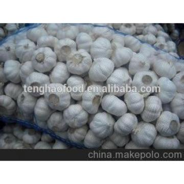 2014 2017 year china new crop garlic new  crop  ,  mesh  bag ,pure white garlic