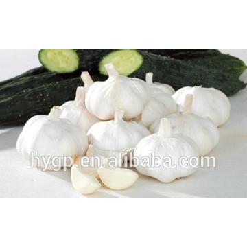 Brand New New Chinese Fresh Pure White Garlic With Great Price