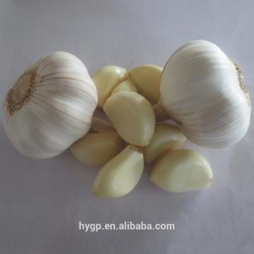 China Fresh pure white galic size 5.0-6.5