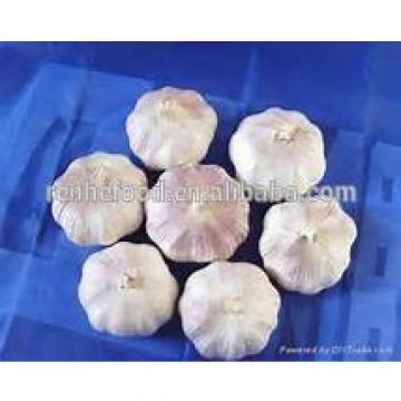 2017 New Crop Fresh Garlic (4.5cm,5cm,5.5cm.6cm up)