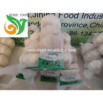 Garlic Export To The World Market