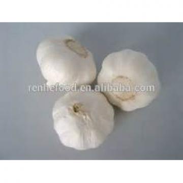 2017 New Corp Grade A Fresh White Chinese Garlic