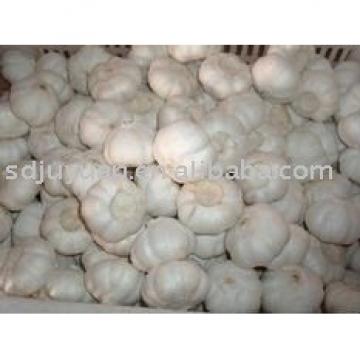 5.0cm Fresh Pure White Garlic