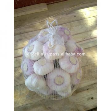 2017 best price fresh garlic promotion /sell new crop fresh garlic