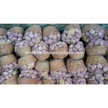 best price products china 2017 new crop pure white fresh garlic from egypt