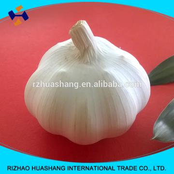 white garlic size4.5cm
