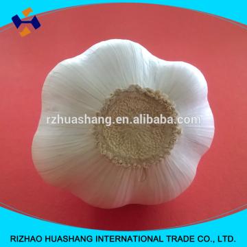 high quality white fresh garlic size4.5cm