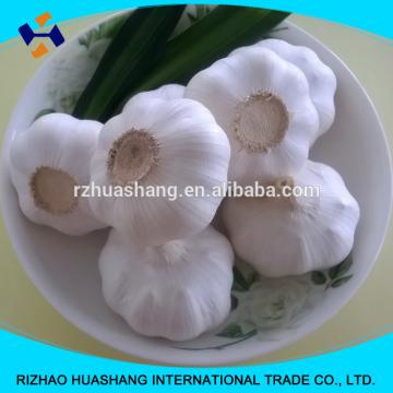 white garlic size4.5cm