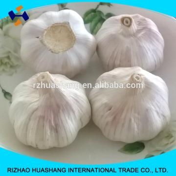 normal white fresh garlic size5.5cm