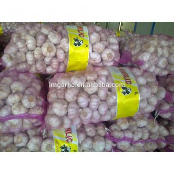 2017 Fresh garlic / Alho from Jinxiang Liming J10