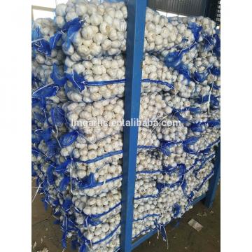 2017 Pure White Fresh Garlic / Alho from Jinxiang Liming M15