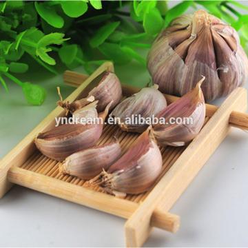 2017 best selling white fresh garlic price in China cheap price wholesale
