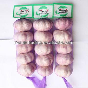 Jinxiang fresh garlic 2017
