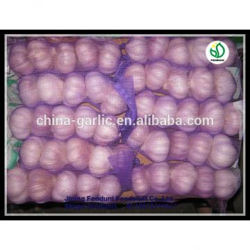 2017 China hot sale wild garlic for sale with good quality cheap price
