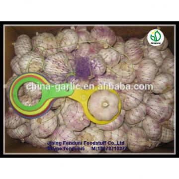 Bulk pure white fresh garlic price for sale