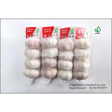 Pure White Garlic From China With 2p;3p;4p;5p;7p 9kg/carton 10kg/carton 20kg/carton