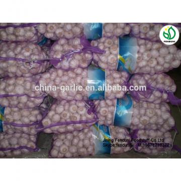 Fresh Garlic 5CM 2017 Crop Bulk Garlic Supplier