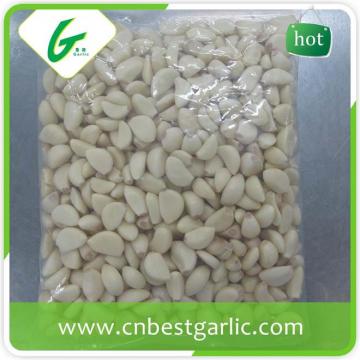 Wholesale fresh peeled garlic price