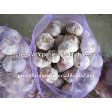 2014 chinese fresh garlic