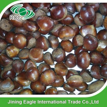 Wholesale organic yanshan fresh chestnut from china