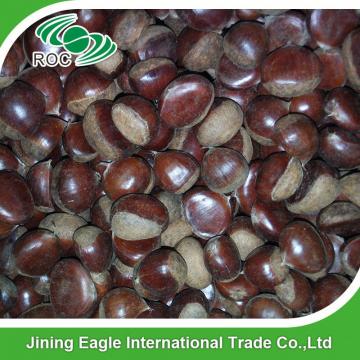Chinese best pricing fresh raw organic chestnuts