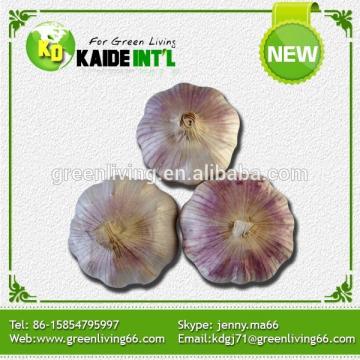 four seasons supplier wholesale peeled garlic