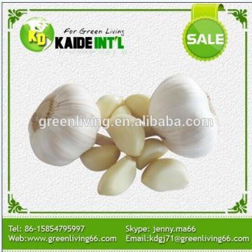 wholesale garlic in China
