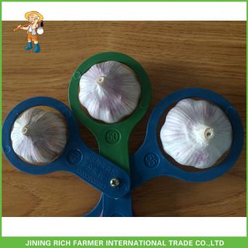 2017 New Top Quality Fresh Purple Garlic Mesh Bag In Carton For Exporter